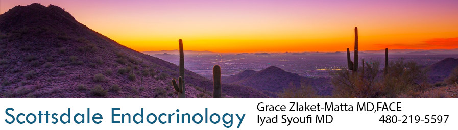 Scottsdale Endocrinology header image